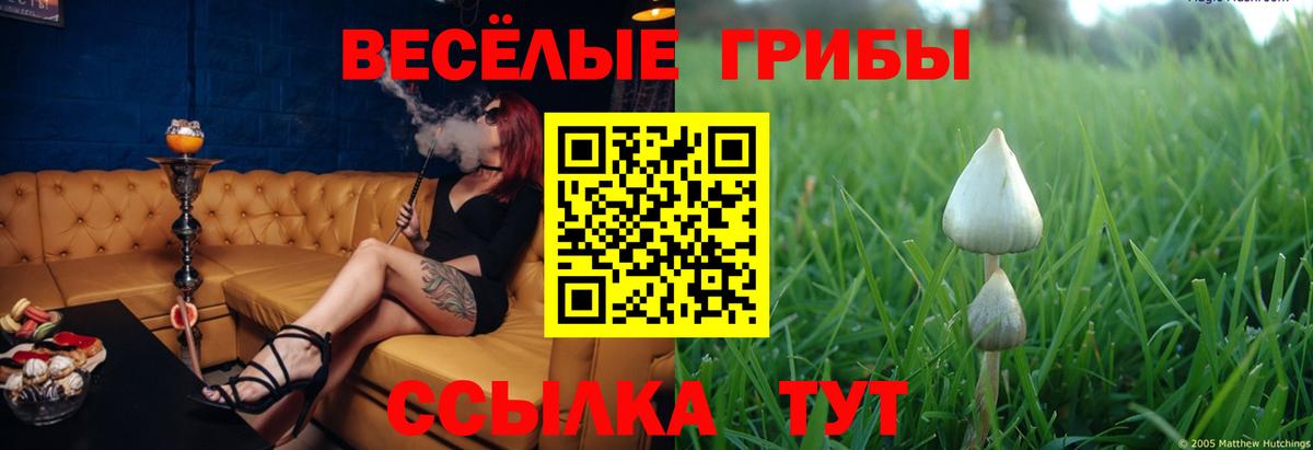 Галлюциногенные грибы GOLDEN TEACHER Ялуторовск